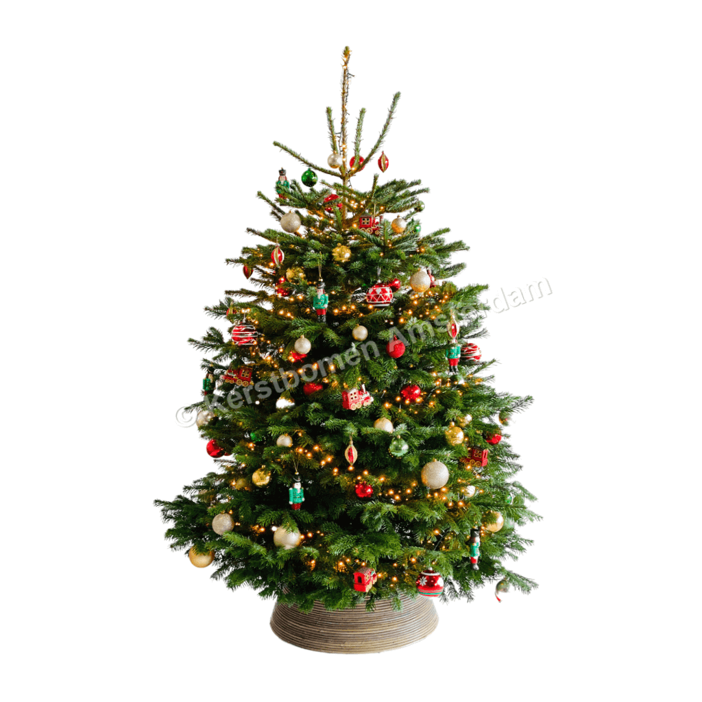 Versierde Kerstboom Hermitage