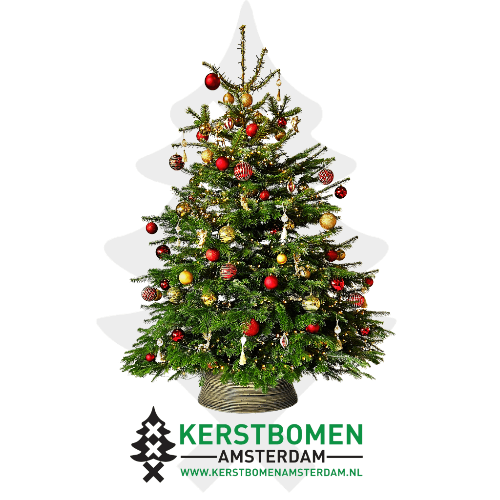 kerstboom versierpakket